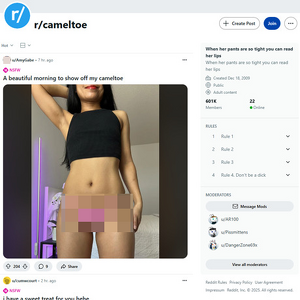 Reddit Cameltoe, Reddit NSFW List