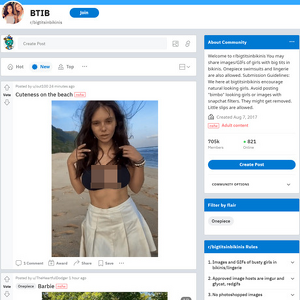 BigTitsInBikinis, Reddit NSFW List