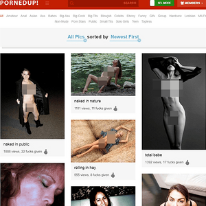 PornedUp, Porn Pictures Sites