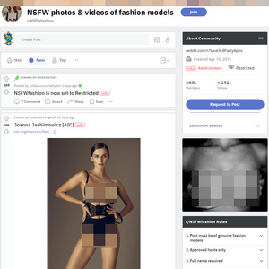NSFW fashion, Reddit NSFW List
